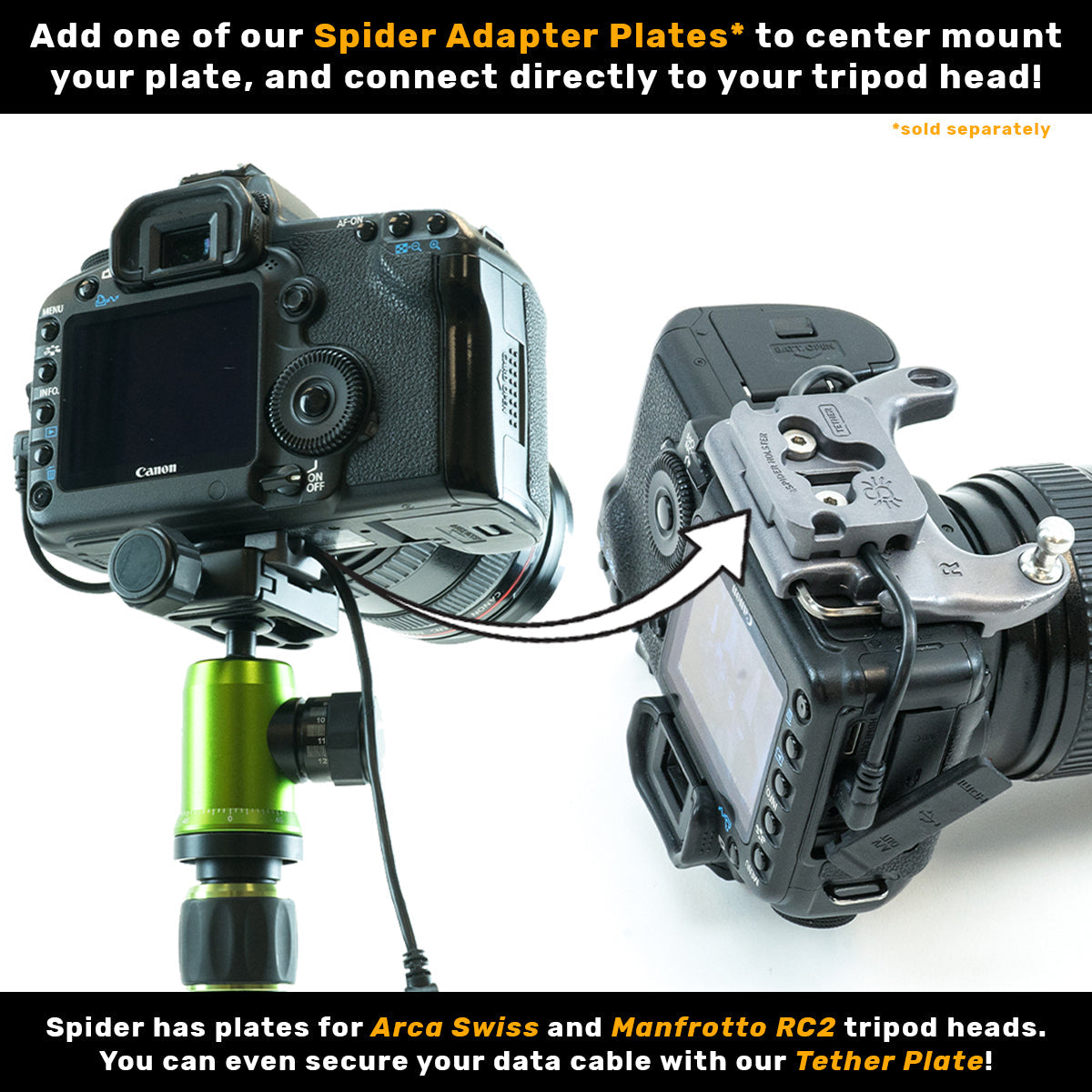 211: SpiderPro Holster + DSLR Camera Plate v2
