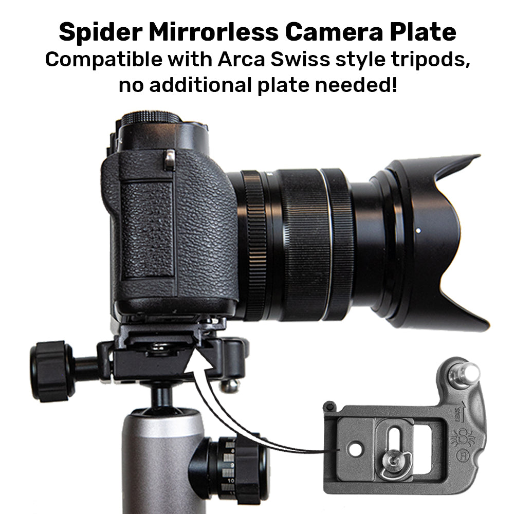 Spider X Holster Set v2